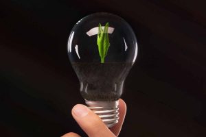 man-holding-light-bulb-with-growing-plant-Can-Hue-Lights-Work-As-Grow-Lights